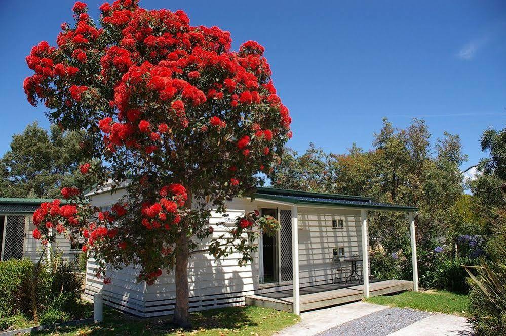Beauty Point Tourist Park Hotel Buitenkant foto